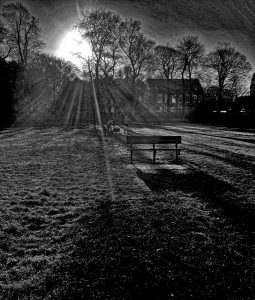 'Brave New World' Tony Fisher