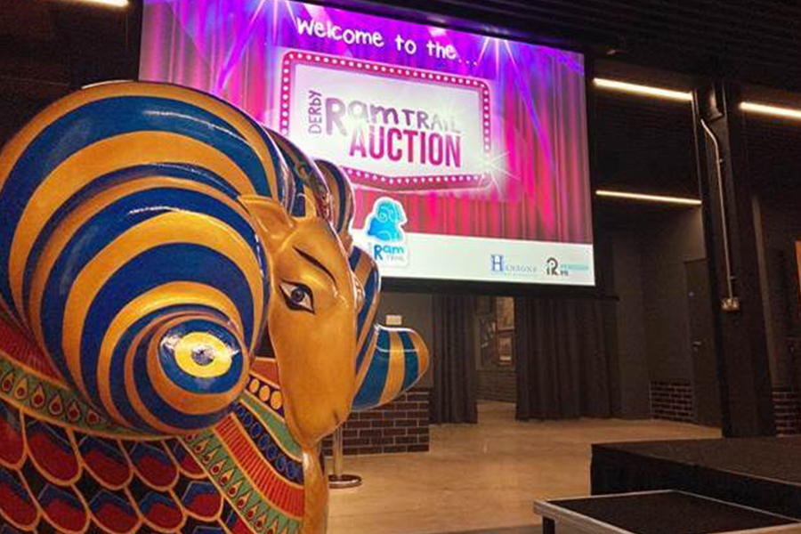 Derby Ram Trail Auction raises over £300,000!