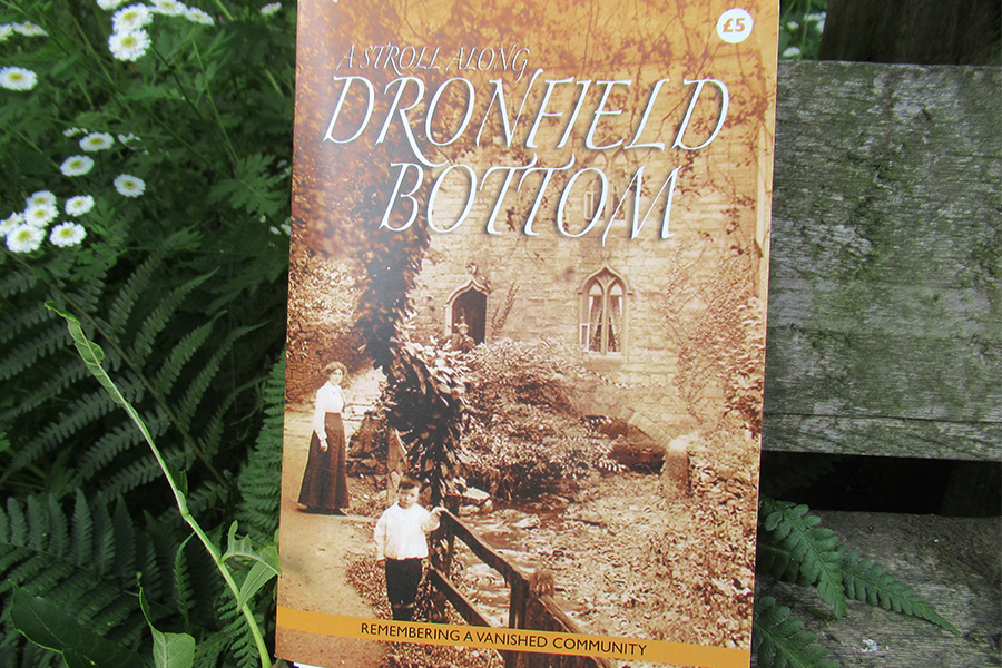 'A Stroll Along Dronny Bottom' Exhibition at Dronfield Hall Barn