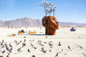 1 The Flybrary by Christina Sporrong and Murder Inc by Charles Gadeken © Photography by Tex Allen