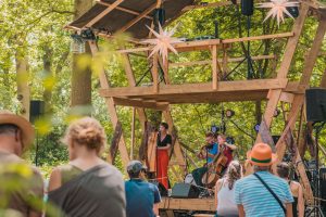 The Eyrie Stage at Timber Festival, credit Wild Rumpus 