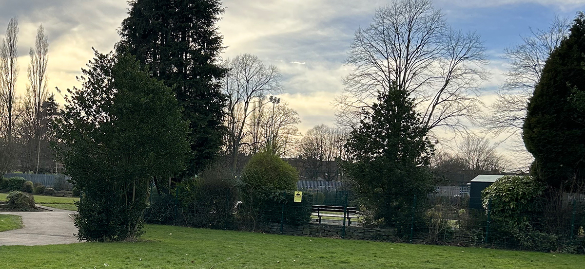 Festivity at King George V Park in Staveley: A Weekend of Creativity